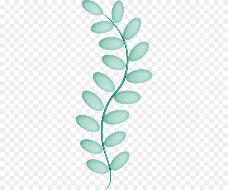 Iandeks Fotki Beach Clipart Clip Art And Art, Pattern, Turquoise, Flower, Plant Png Image