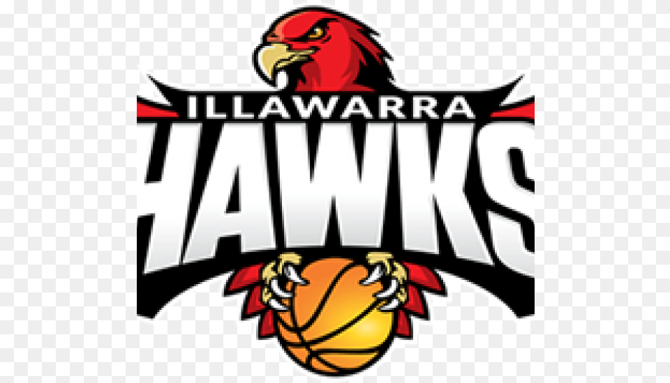 Ias Partners With The Illawarra Hawks Illawarra Hawks, Animal, Bird, Person Free Transparent Png