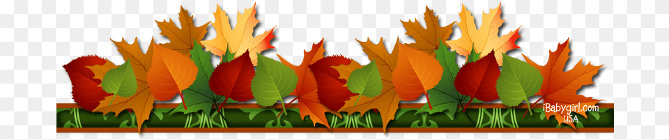 Ibabygirl November Choose A Seat Not A Side We39re All Family Once The, Leaf, Plant, Tree, Maple Leaf Free Transparent Png