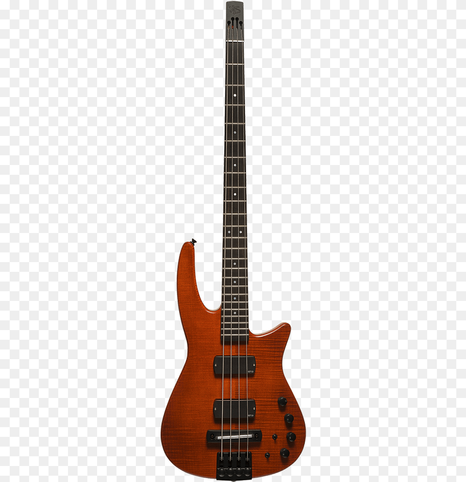 Ibanez Bass, Bass Guitar, Guitar, Musical Instrument Png