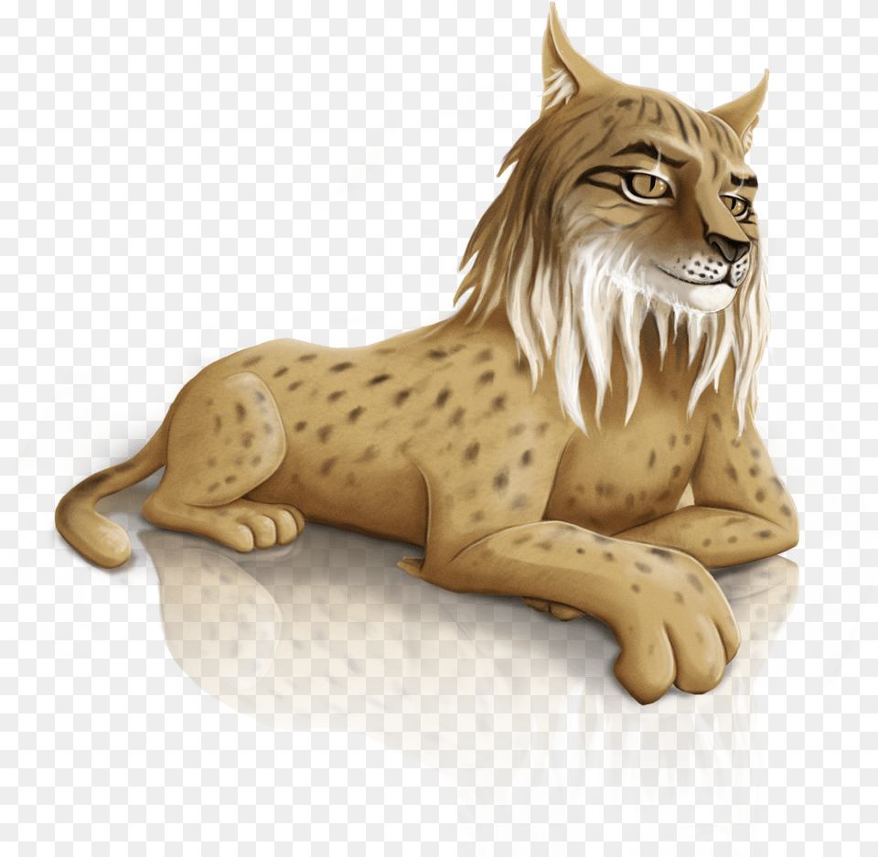 Iberian Lynx, Animal, Lion, Mammal, Wildlife Png Image