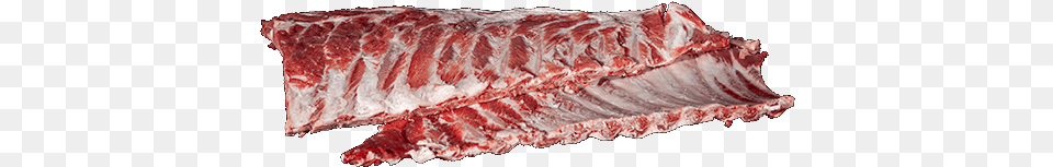 Iberian Ribs Umbrella, Food, Meat, Pork, Beef Free Png