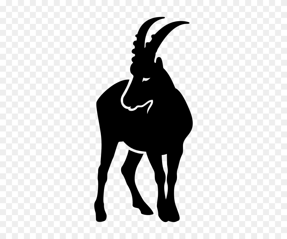 Ibex, Gray Free Png Download