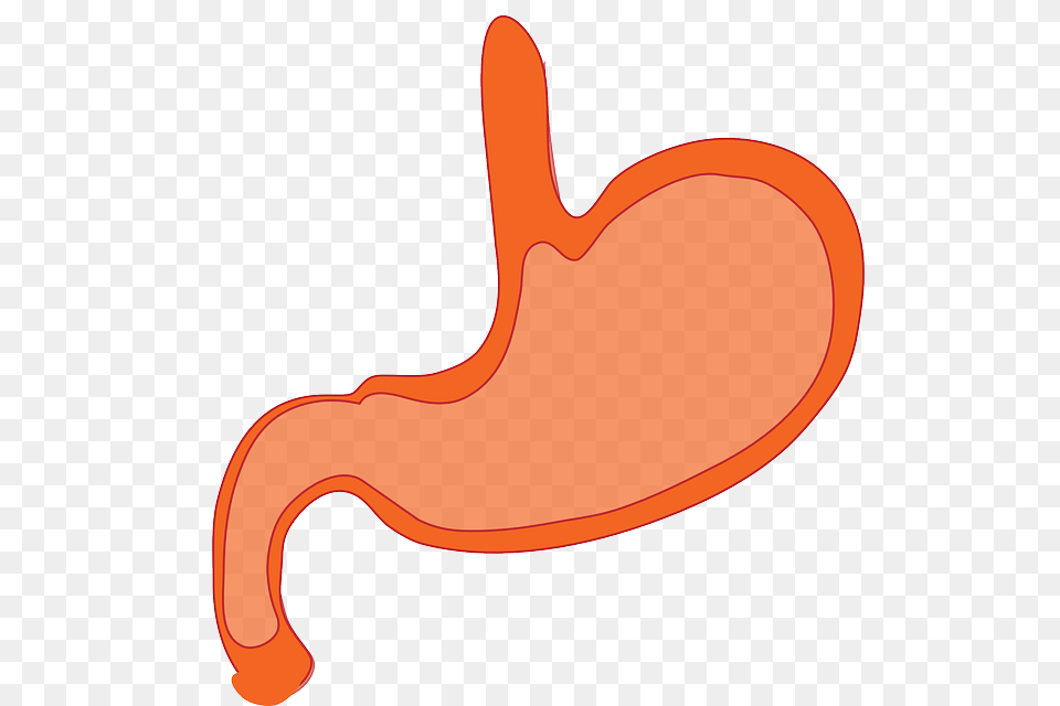 Ibs Treatment, Body Part, Stomach, Smoke Pipe, Carrot Png