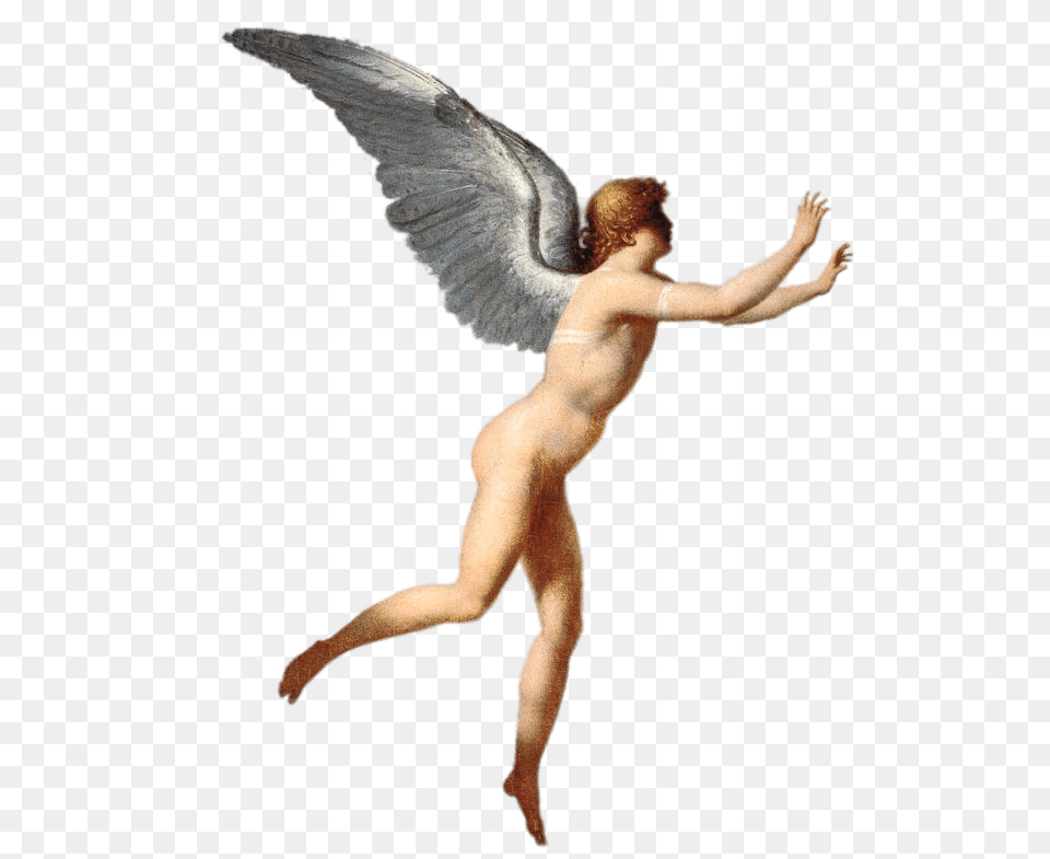 Icarus Flying Up, Person, Angel, Cupid Free Png Download