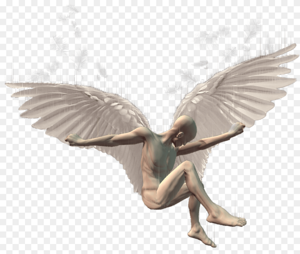 Icarus Mr Idiom Man Noface Faceless Wings Angel Background Angel Wings, Adult, Female, Person, Woman Png Image