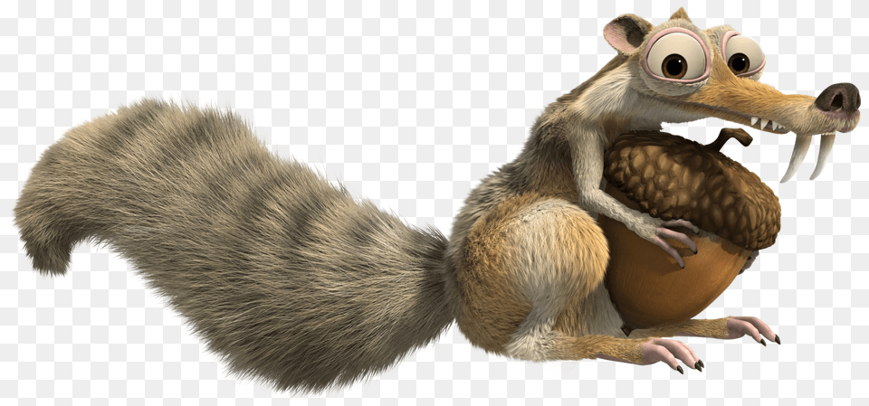 Ice Age, Animal, Bird, Food, Nut Png Image