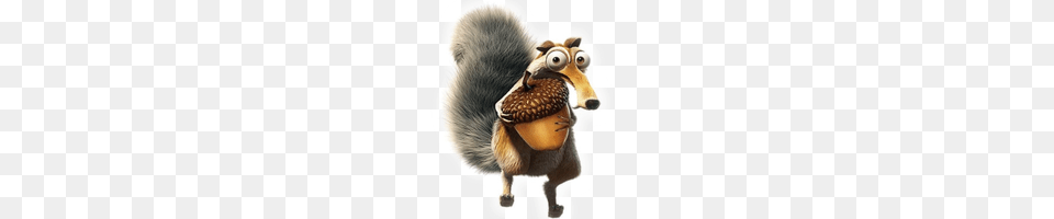 Ice Age, Nut, Vegetable, Food, Produce Free Png