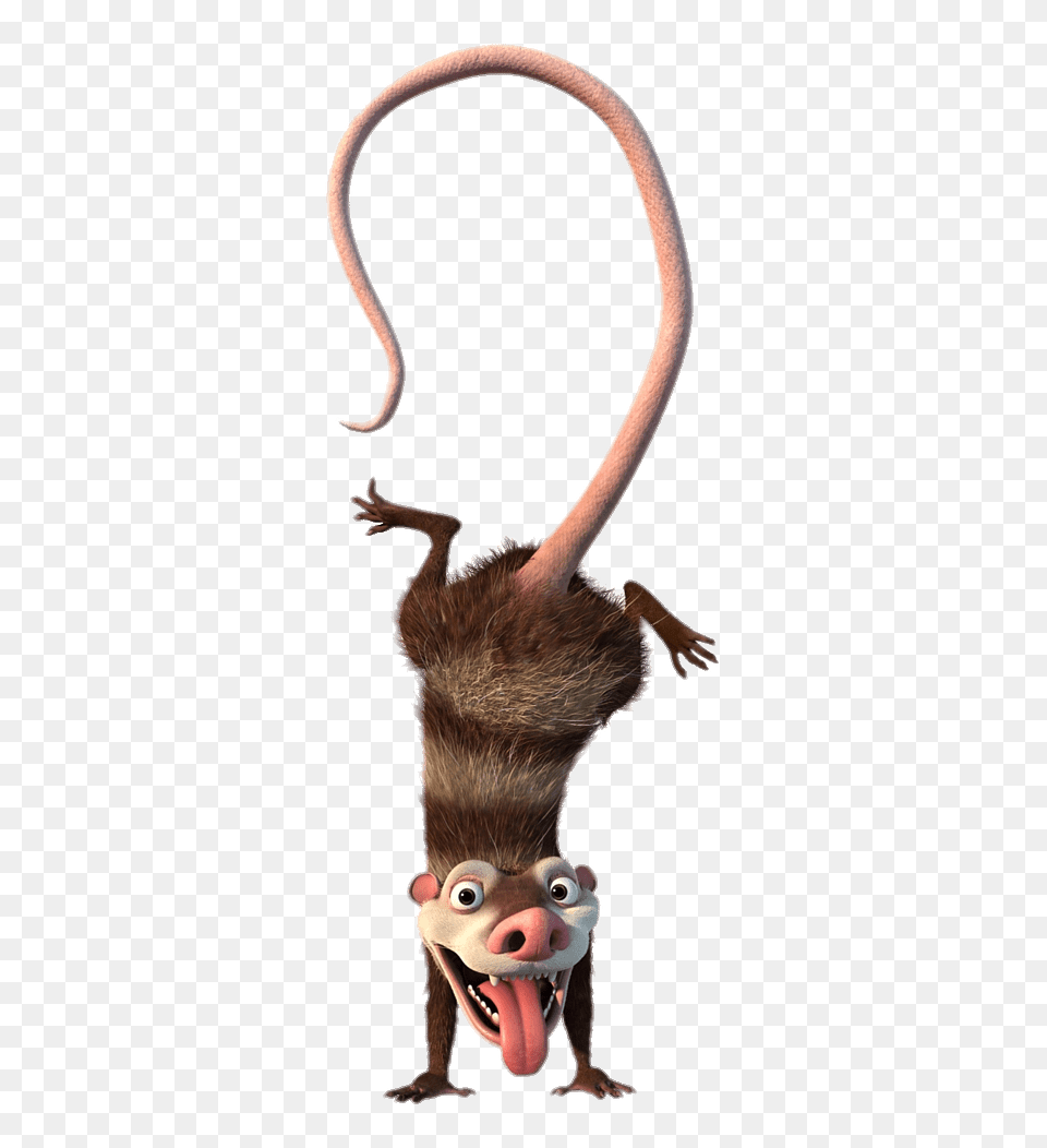 Ice Age Character Eddie, Animal, Mammal, Possum, Wildlife Png