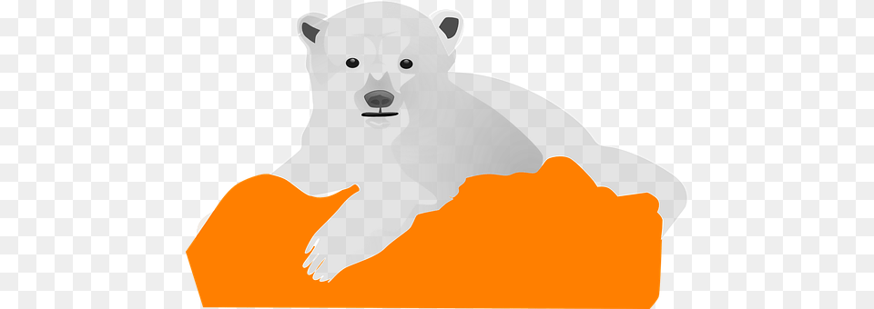 Ice Bear Animal, Mammal, Wildlife, Polar Bear Png Image