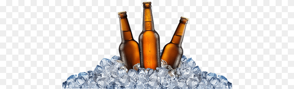 Ice Cold Ice Cold Beer, Alcohol, Beer Bottle, Beverage, Bottle Png Image