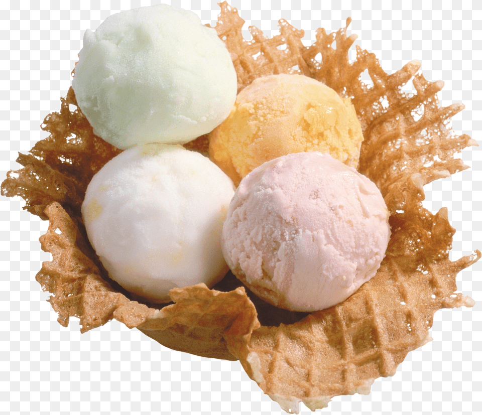 Ice Cream, Animal, Bird, Eagle, Fish Free Png