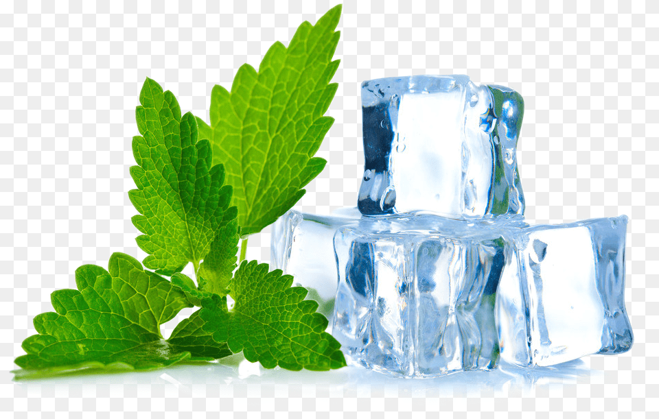 Ice Cube, Herbs, Mint, Plant, Leaf Png