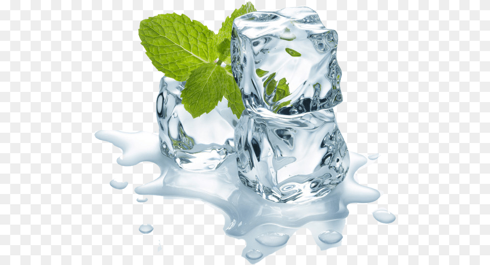 Ice Cube Water, Herbs, Mint, Plant, Leaf Png