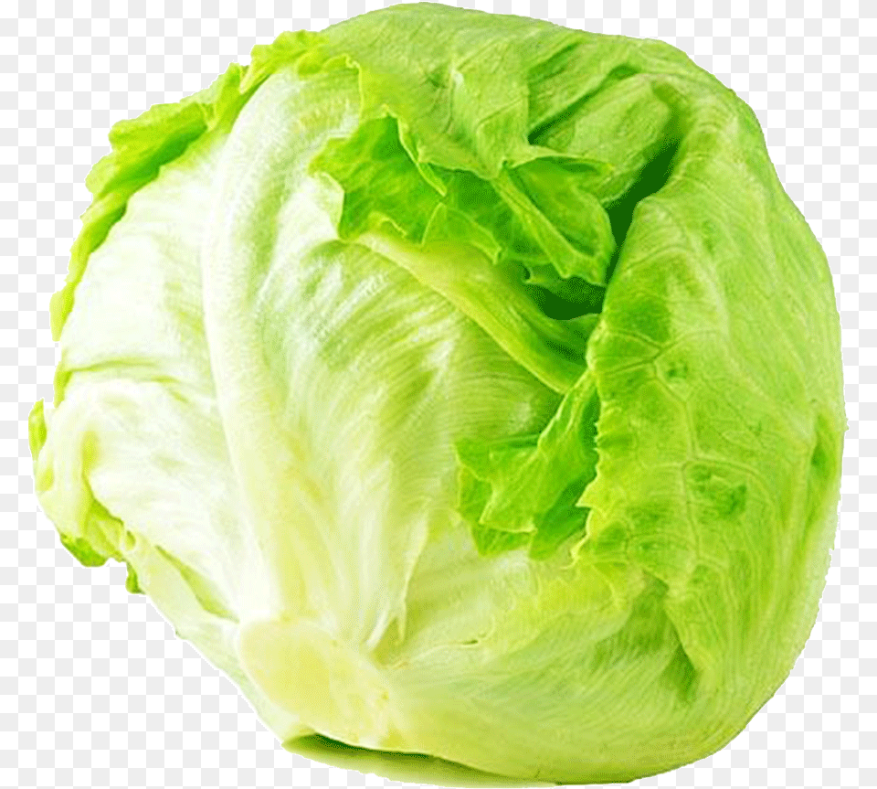 Iceberg Lettuce 1 Kg Precent Situation Of Vegitable Cultivation In Sri Lanka, Food, Produce, Plant, Vegetable Png