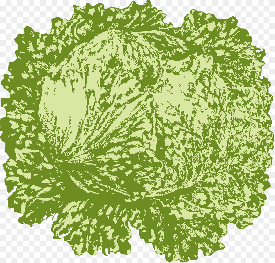 Iceberg Lettuce Clipart, Food, Leafy Green Vegetable, Plant, Produce Free Transparent Png