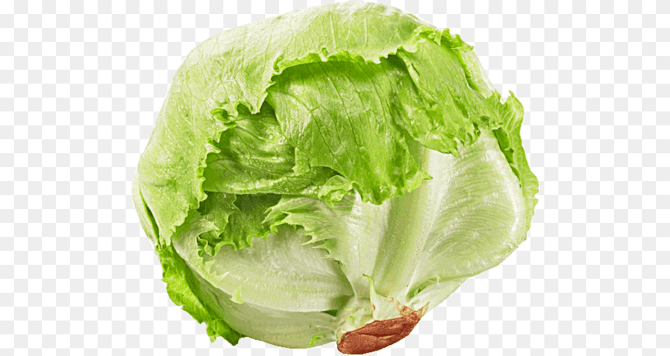 Iceberg Lettuce Rijk Zwaan Salad Transparent Iceberg Lettuce, Food, Plant, Produce, Vegetable Png