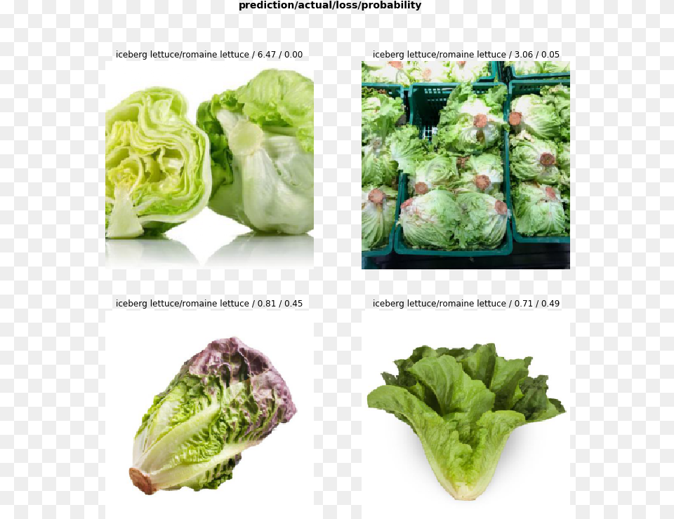Iceberg Lettuce Romaine Lettuce, Food, Plant, Produce, Vegetable Png