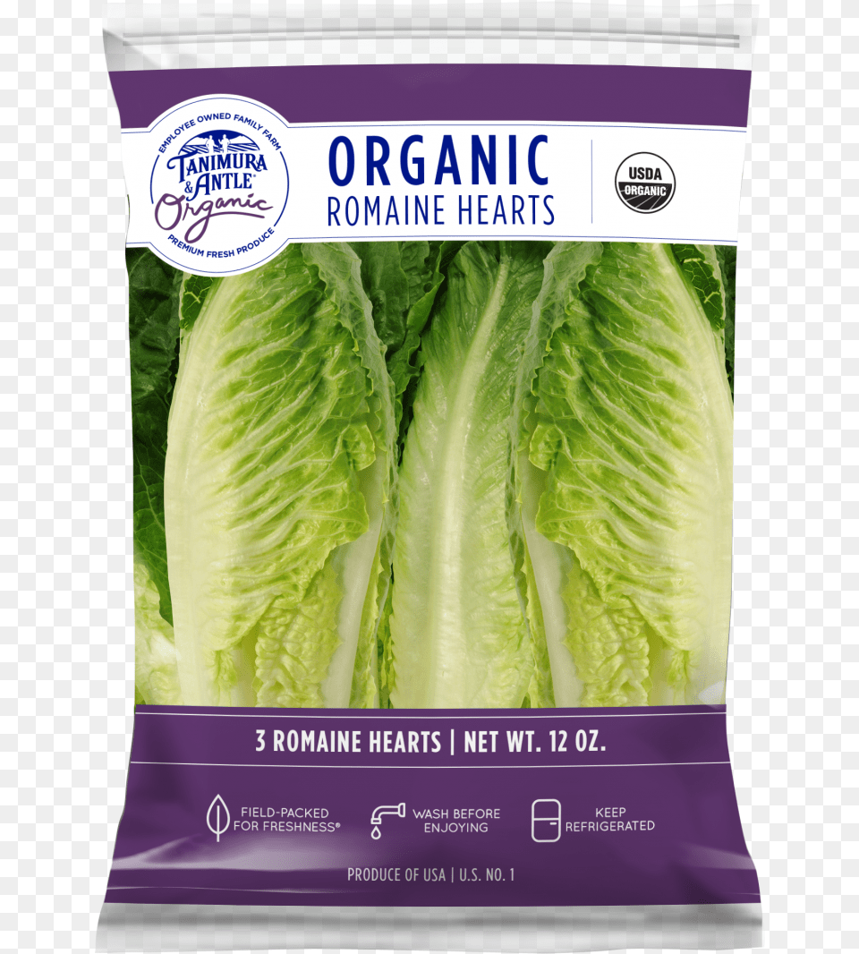Iceburg Lettuce, Food, Plant, Produce, Vegetable Png Image