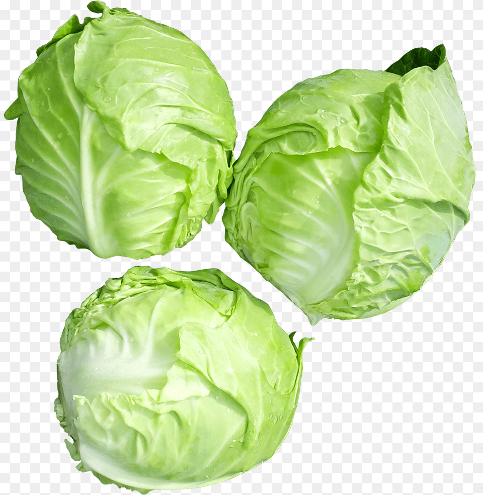 Iceburg Lettuce, Vegetable, Produce, Plant, Food Png Image