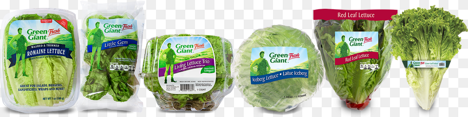 Iceburg Lettuce, Food, Plant, Produce, Vegetable Free Png Download