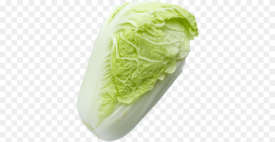 Iceburg Lettuce, Food, Produce, Leafy Green Vegetable, Plant Free Transparent Png