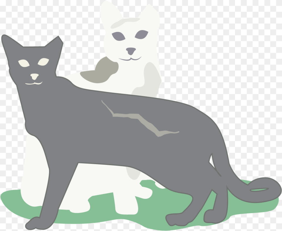 Icehouse Discoverygreen Cat Ej3epv Black Cat, Animal, Mammal, Pet, Egyptian Cat Png Image