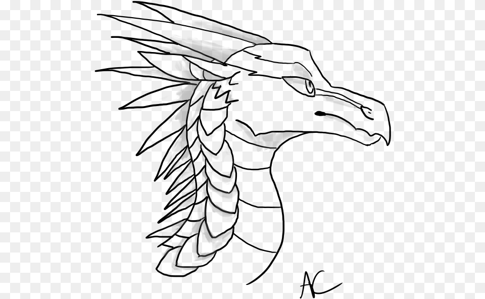 Icewing Headshot Base Icewing Head Wings Of Fire, Stencil, Person, Animal, Bee Free Png