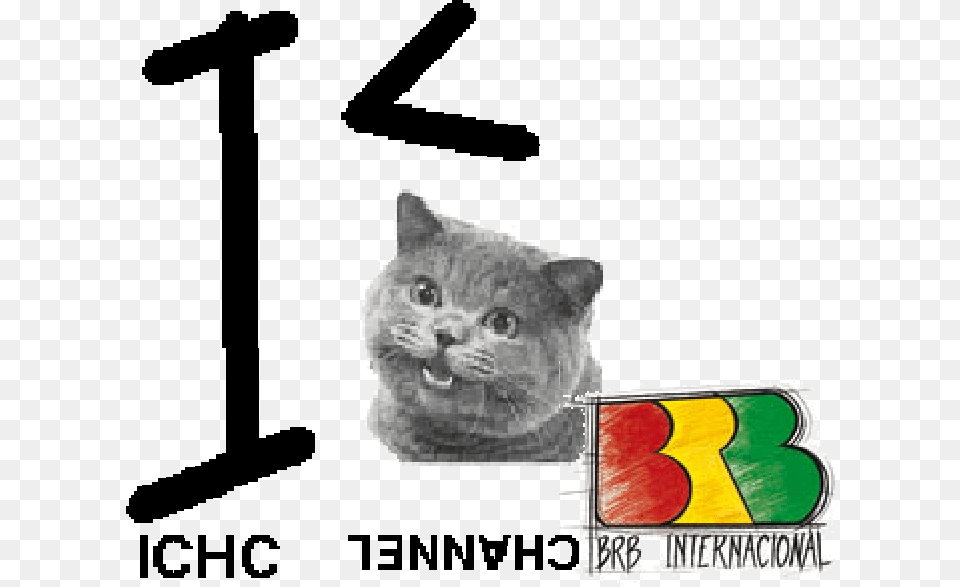 Ichc Channel Brb Internacional Logo New Did This Get Here I Not Good, Animal, Cat, Mammal, Pet Png
