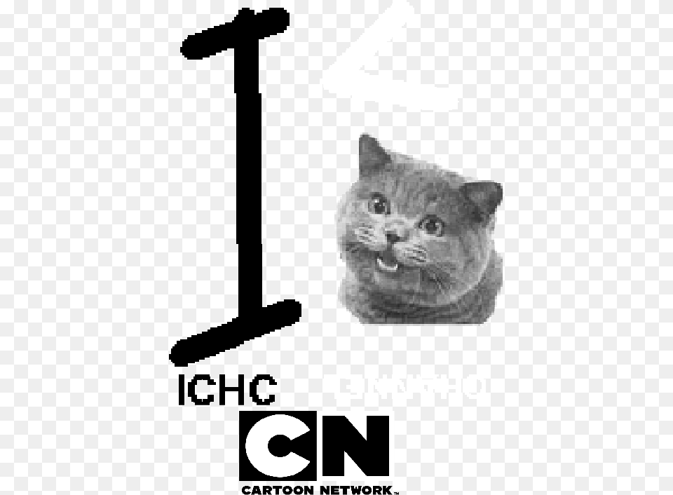 Ichc Channel Cartoon Network Logo Cartoon Network Logo 2011, Advertisement, Animal, Cat, Mammal Png