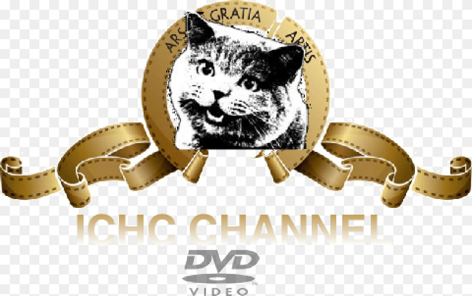 Ichc Channel Dvd Logo, Animal, Cat, Mammal, Pet Png