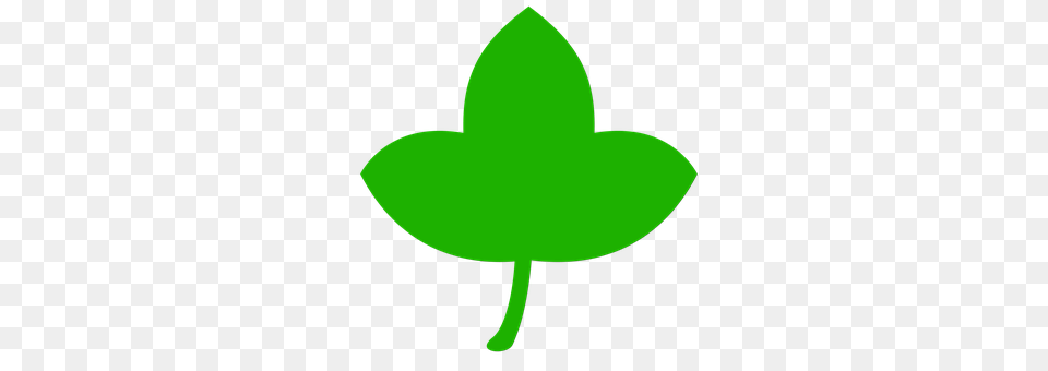 Icon Leaf, Plant, Green, Flower Png