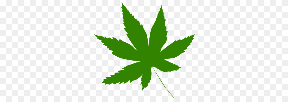 Icon Leaf, Plant, Weed, Animal Png