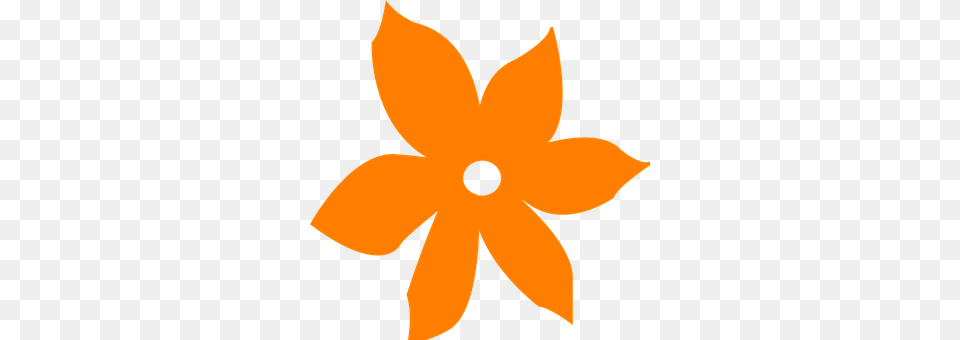 Icon Daisy, Flower, Petal, Plant Free Transparent Png