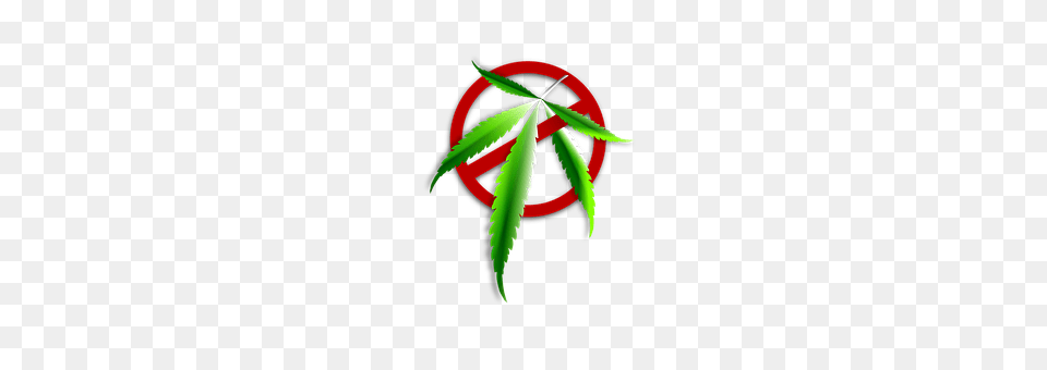 Icon Leaf, Plant, Weed, Herbal Png Image