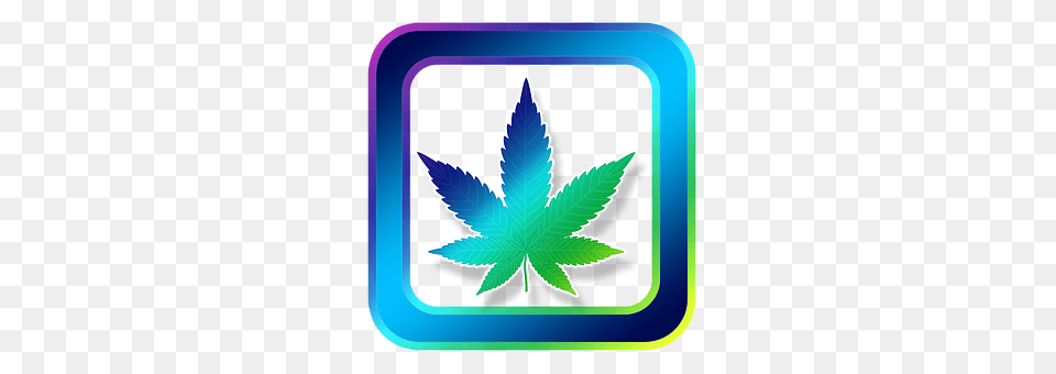 Icon Leaf, Plant, Weed, Herbal Free Transparent Png