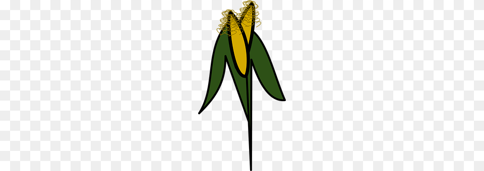 Icon Flower, Plant, Petal, Leaf Free Png