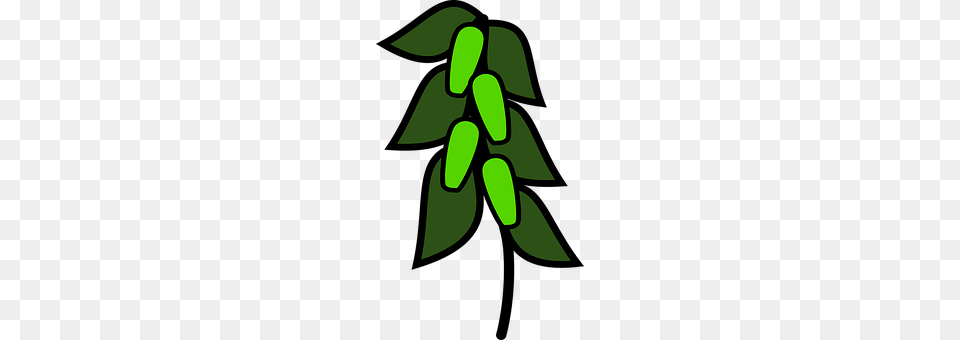 Icon Green, Leaf, Plant, Animal Free Transparent Png