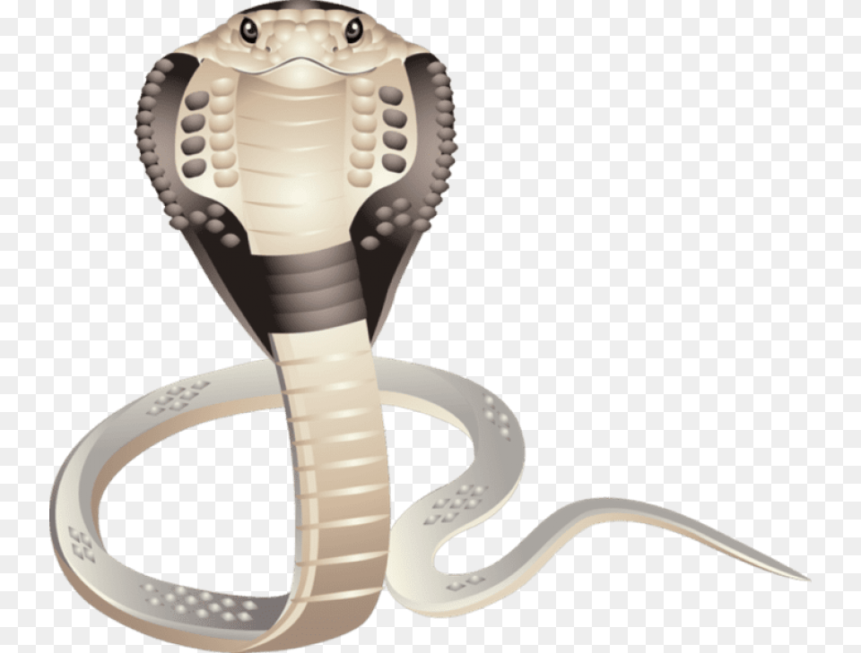 Icon, Animal, Cobra, Reptile, Snake Png