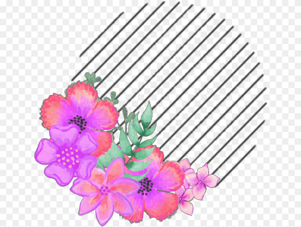 Icon Aesthetic Overlay Coolsticker Kpop Dianthus, Art, Floral Design, Flower, Graphics Png Image
