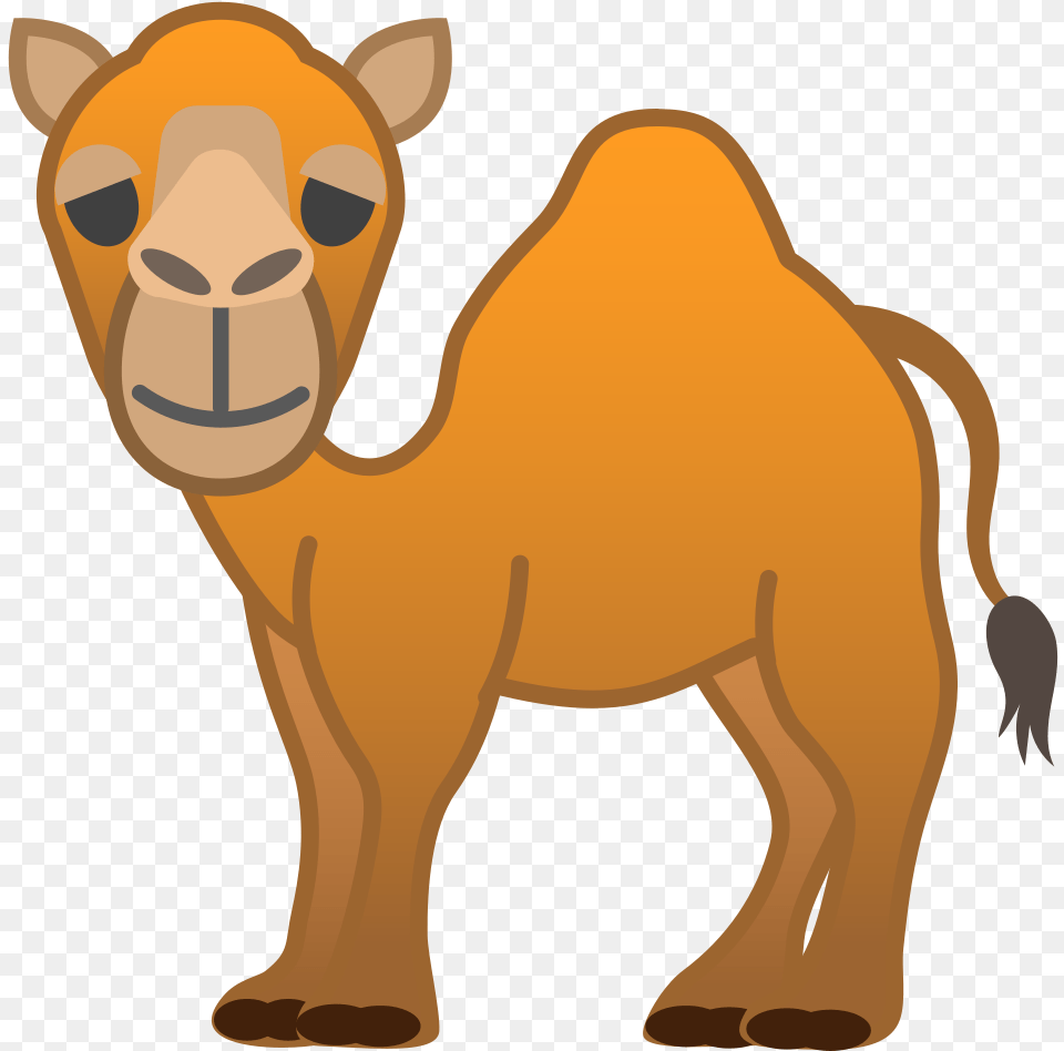 Icon Camel, Animal, Mammal, Bear, Wildlife Free Png