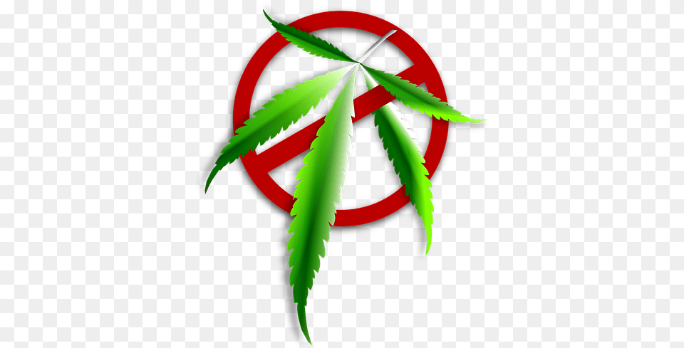 Icon Characters Marijuana Weed Leaf Green No No Marijuana, Plant, Herbal, Herbs, Animal Free Png