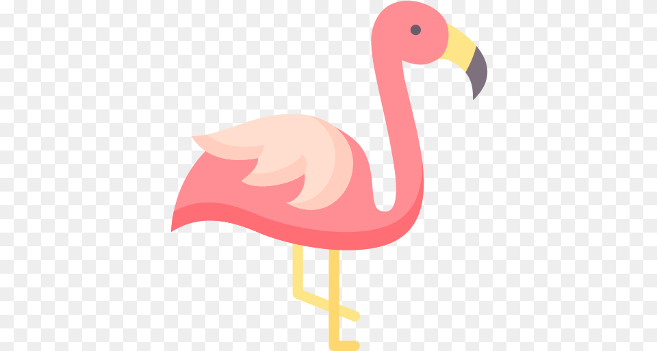 Icon Download Flamingo Soft, Animal, Bird, Beak Png Image