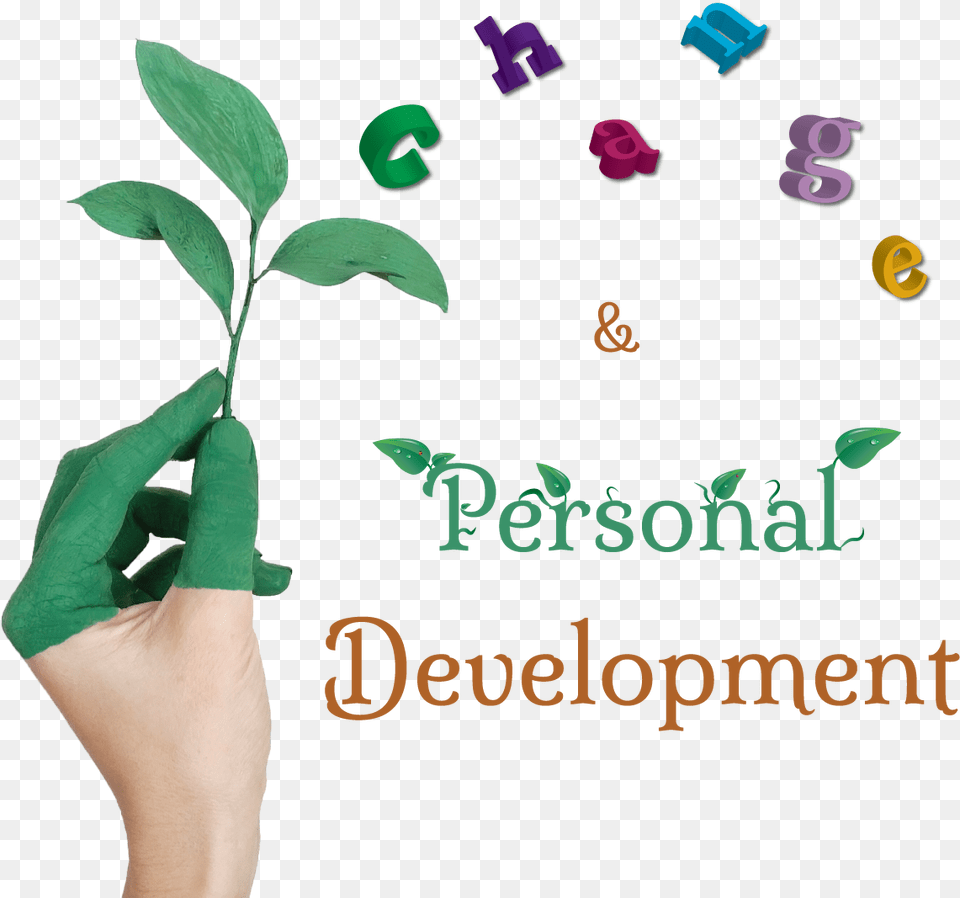 Icon Environment Book Of Shankar Ias, Leaf, Plant, Potted Plant, Herbal Free Png Download