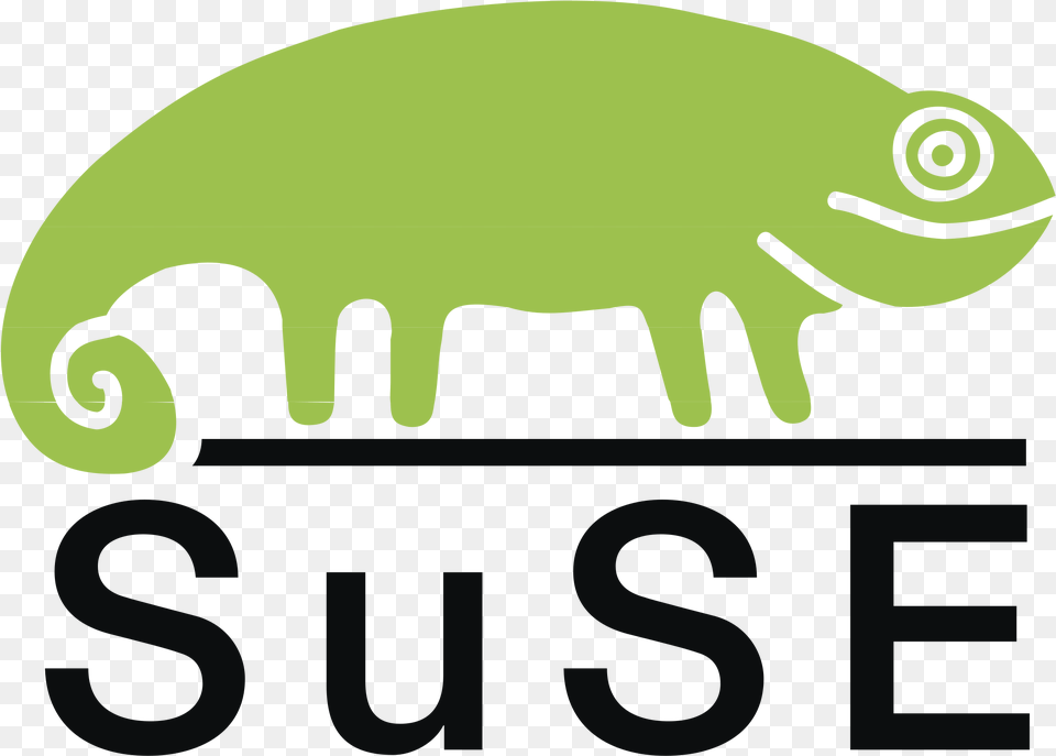 Icon Favicon Suse Logo, Animal, Lizard, Reptile, Green Lizard Png Image