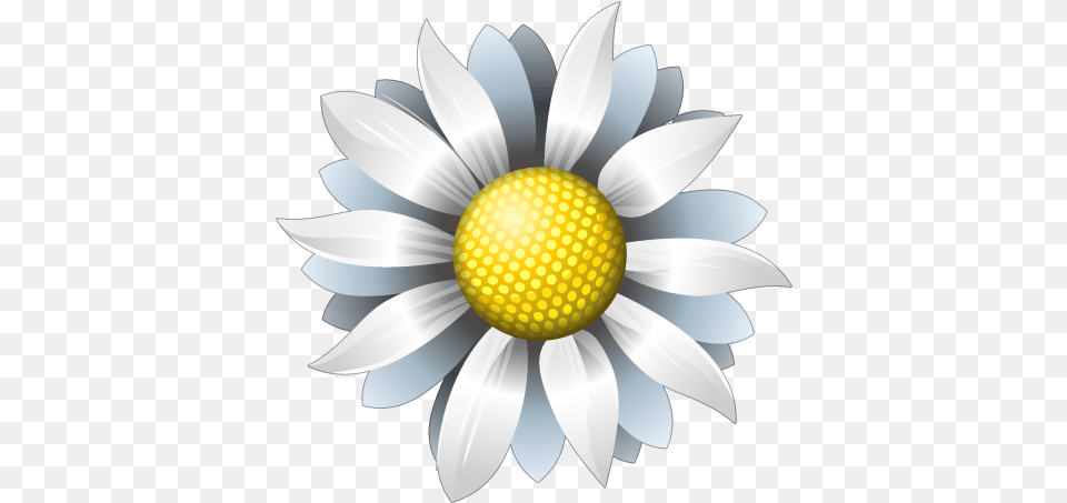 Icon Flower 1 Whote Flower Icon, Daisy, Plant, Anemone, Petal Free Png Download