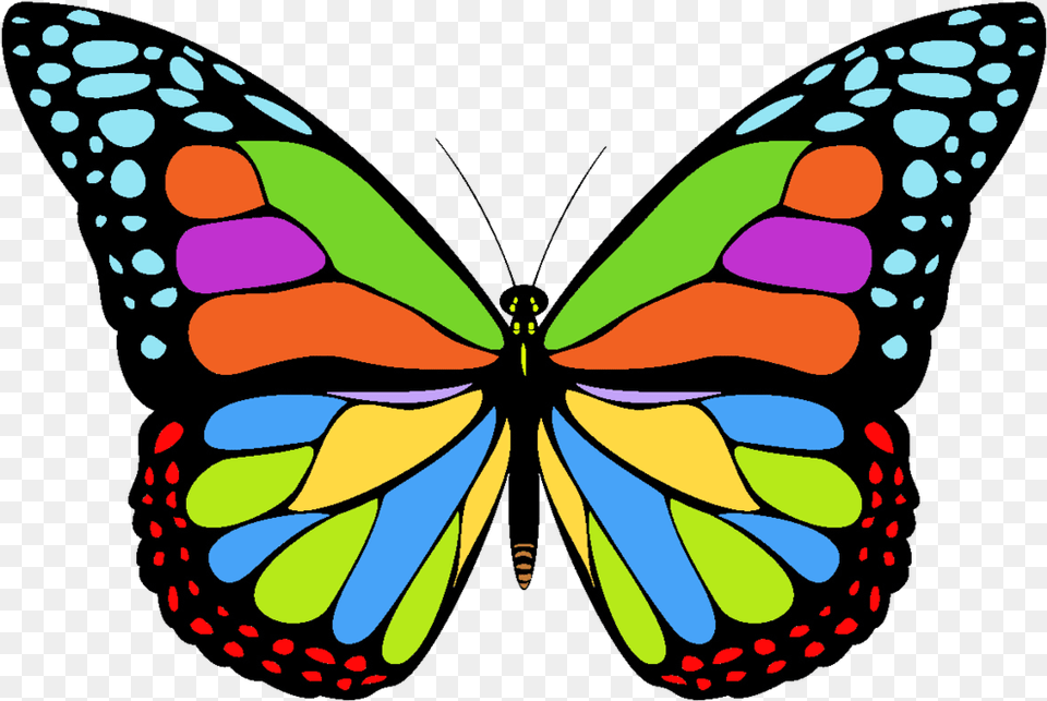 Icon Free Butterfly Transparent Butterfly Icon, Art, Animal, Insect, Invertebrate Png