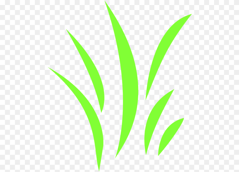 Icon Grass Grasses Bloom Green, Plant, Herbs, Herbal, Leaf Png