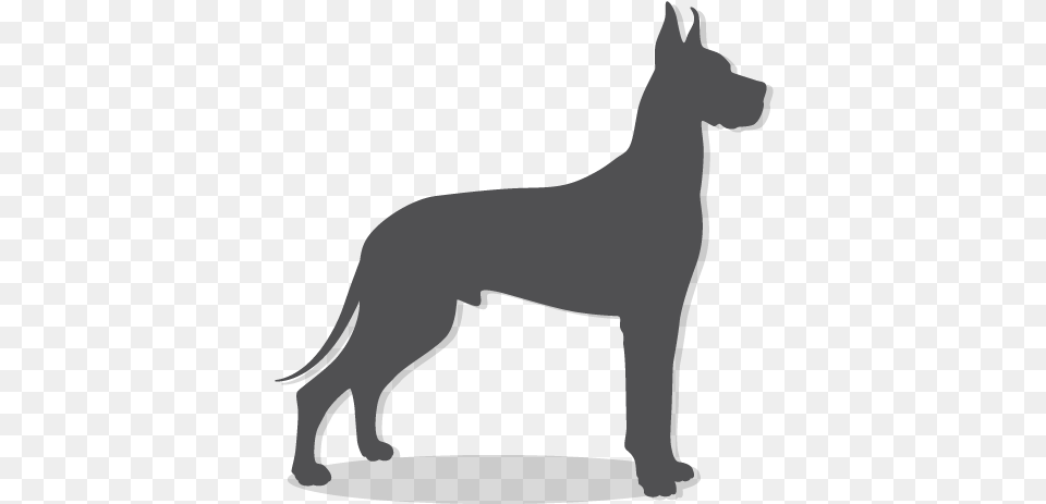 Icon Great Dane Icon, Animal, Canine, Dog, Great Dane Png