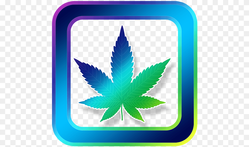 Icon Hemp Cannabis Medical Medicine Grass Art Ganja Weed, Leaf, Plant, Animal, Fish Free Transparent Png